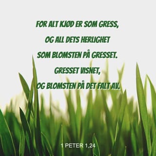 1. Peter 1:24-25 - For
alt det som lever, er som gress,
og all dets prakt ¬som markens blomst.
Gresset visner, ¬og blomsten faller av,
men Herrens ord varer ¬til evig tid.
Dette er det ord som er forkynt for dere i evangeliet.