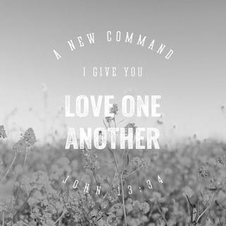John 13:34-35 - “Let me give you a new command: Love one another. In the same way I loved you, you love one another. This is how everyone will recognize that you are my disciples—when they see the love you have for each other.”