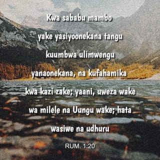 Waroma 1:20 BHN