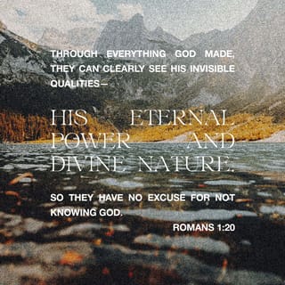 Romans 1:20 - Ever since God created the world, his invisible qualities, both his eternal power and his divine nature, have been clearly seen; they are perceived in the things that God has made. So those people have no excuse at all!