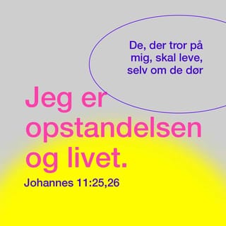 Johannesevangeliet 11:25-26 - Jesus sagde til hende: „Jeg er Opstandelsen og Livet; den, som tror paa mig, skal leve, om han end dør. Og hver den, som lever og tror paa mig, skal i al Evighed ikke dø. Tror du dette?“