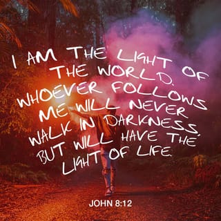 John 8:12 - Jesus spoke to the Pharisees again. “I am the light of the world,” he said. “Whoever follows me will have the light of life and will never walk in darkness.”