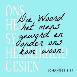 JOHANNES 1:14 - Die Woord het mens geword en onder ons kom woon. Ons het sy heerlikheid gesien, die heerlikheid wat Hy as die enigste Seun van die Vader het, vol genade en waarheid.