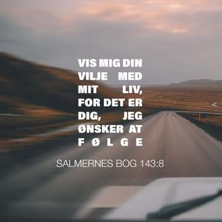 Salmernes Bog 143:8 BPH