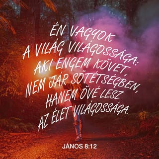 János 8:12 HUNK
