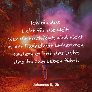 Johannes 8:12 - Ein anderes Mal sagte Jesus zu den Menschen: »Ich bin das Licht für die Welt. Wer mir nachfolgt, wird nicht in der Dunkelheit umherirren, sondern er hat das Licht, das ihn zum Leben führt.«