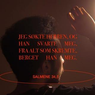 Salmene 34:4 NB
