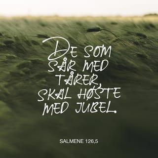 Salmene 126:5 - De som sår med gråt, skal høste med fryderop.