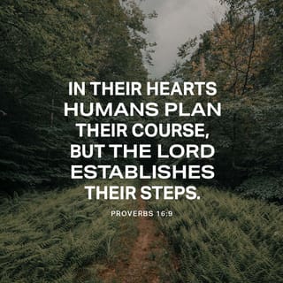 Proverbs 16:9 - A man’s heart plans his course,
but the LORD directs his steps.