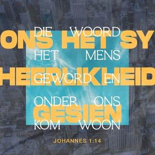 JOHANNES 1:14 AFR83