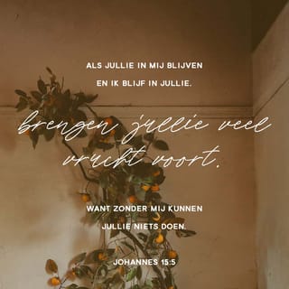 Johannes 15:4-5 HTB