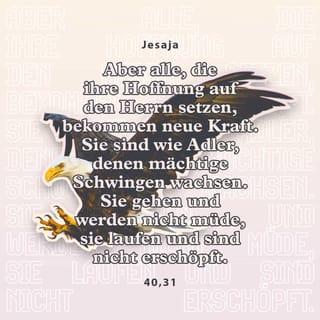 Jesaja 40:31 - aber die auf den HERRN harren, kriegen neue Kraft, dass sie auffahren mit Flügeln wie Adler, dass sie laufen und nicht matt werden, dass sie wandeln und nicht müde werden.