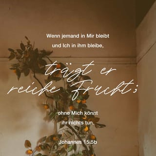Johannes 15:5 - Ich bin der Weinstock, und ihr seid die Reben. Wenn jemand in mir bleibt und ich in ihm bleibe, trägt er reiche Frucht; ohne mich könnt ihr nichts tun.