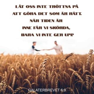Galaterbrevet 6:9 - Låt oss inte tröttna på att göra det som är gott, för vi ska i sinom tid få skörda, bara vi inte ger upp.