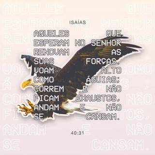 Isaías 40:31 - Mas os que esperam no SENHOR renovarão as suas forças e subirão com asas como águias; correrão e não se cansarão; caminharão e não se fatigarão.