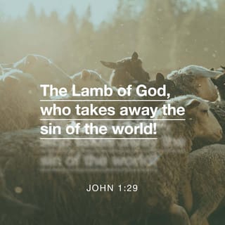 John 1:29 - The next day he saw Jesus coming to him and said, “Look! The Lamb of God who takes away the sin of the world! [Ex 12:3; Is 53:7]