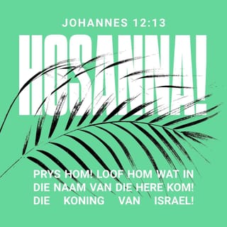 Johannes 12:13 - Met palmtakke in die hand het hulle die hele pad geskreeu: “Ons prys U, U is baie spesiaal! U kom omdat die Here dit wil hê, U is die koning van Israel.”