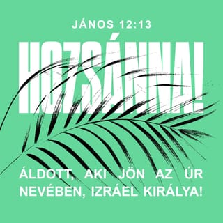 János 12:12-19 - Másnap, amikor az ünnepre érkező nagy sokaság meghallotta, hogy Jézus Jeruzsálembe jön, pálmaágakat fogtak, kivonultak a fogadására, és így kiáltottak:

Hozsánna!
Áldott, aki jön az Úr nevében,
Izráel Királya!

Jézus pedig egy szamárcsikóra találva, felült rá, ahogyan meg van írva:

„Ne félj, Sion leánya,
íme, királyod jön,
szamárcsikón ülve.”

Tanítványai először nem értették mindezt, de miután Jézus megdicsőült, visszaemlékeztek arra, hogy az történt vele, ami meg volt írva róla. Bizonyságot tett mellette a sokaság, amely vele volt, amikor Lázárt kihívta a sírból, és feltámasztotta a halálból. Ezért is vonult ki elé a sokaság, mert hallották, hogy ezt a jelt tette. A farizeusok pedig így szóltak egymáshoz: Látjátok, hogy semmit sem tudtok elérni: íme, a világ őt követi!