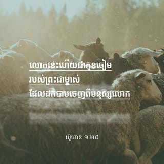 John 1:29 - ថ្ងៃ​បន្ទាប់​មក​ លោក​យ៉ូហាន​បាន​ឃើញ​ព្រះយេស៊ូ​យាង​មកឯ​គាត់​ នោះ​គាត់​និយាយ​ថា៖​ «មើល៍​ នោះ​ជា​កូន​ចៀម​របស់​ព្រះជាម្ចាស់​ដែល​ដក​យក​បាប​របស់​មនុស្ស​លោក​