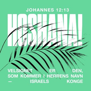 Johannesevangeliet 12:13 - toge de Palmegrene og gik ud imod ham og raabte: „Hosanna! velsignet være den, som kommer, i Herrens Navn, Israels Konge!“