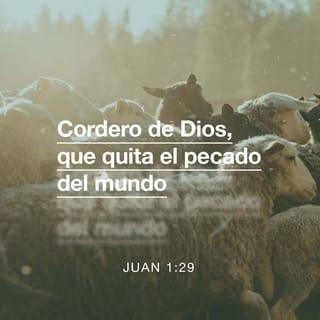 Juan 1:29 - Al día siguiente, Juan vio que Jesús se le acercaba y dijo: «¡Miren! ¡El Cordero de Dios, que quita el pecado del mundo!