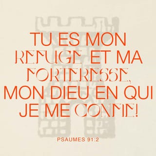 Psaumes 91:2 - Il dit au SEIGNEUR : « Tu es mon abri,
tu me protèges avec puissance,
tu es mon Dieu, j’ai confiance en toi. »