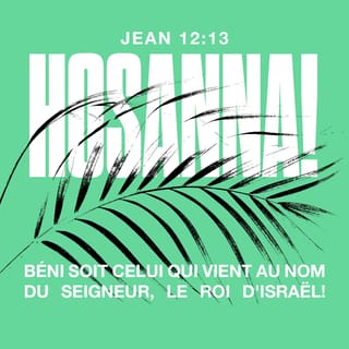 Jean 12:13 - Les gens prennent des branches de palmiers et ils vont à sa rencontre en dehors de la ville. Ils crient : « Gloire à Dieu ! Que le Seigneur bénisse celui qui vient en son nom, le Roi d’Israël ! »