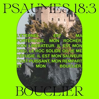Psaumes 18:2 - Je t’aime, Eternel, ma force