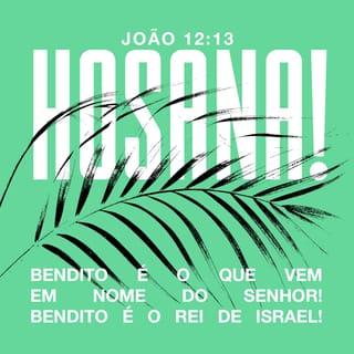 João 12:13 - tomou ramos de palmeiras e saiu ao seu encontro, gritando:
“Hosana!
Bendito é o que vem em nome do Senhor!
Bendito é o Rei de Israel!”.