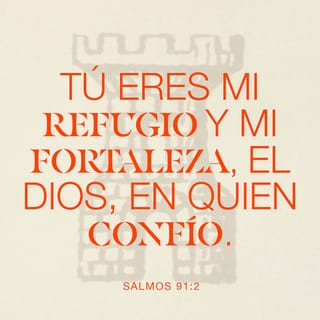 Salmo 91:2 - Yo digo al SEÑOR: «Tú eres mi refugio,
mi fortaleza, el Dios en quien confío».