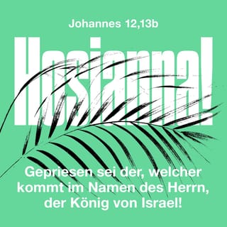 Johannes 12:13 - Mit Palmzweigen in der Hand zogen sie zur Stadt hinaus, um ihn zu empfangen.
»Gepriesen sei Gott!«, riefen sie.
»›Gesegnet sei er, der im Namen des Herrn kommt‹,
der König von Israel!«