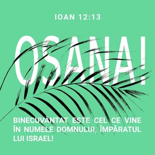 Ioan 12:13 - Au luat ramuri de palmieri și au ieșit pentru a-l întâmpina, și strigau: Osana! Binecuvântat este Împăratul lui Israel ce vine în numele Domnului!