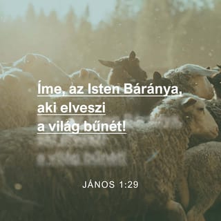 János 1:29 HUNK