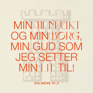 Salmene 91:1-3 NB