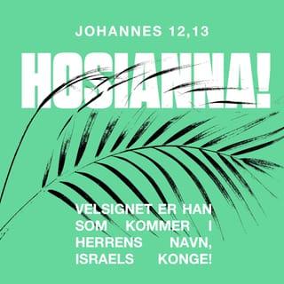 Johannes 12:13 - Da tok de palmegreiner og gikk ut for å møte ham, og de ropte:
Hosianna!
Velsignet er han som kommer
i Herrens navn,
Israels konge!
