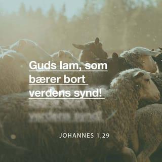 Johannes 1:29 - Dagen efter ser han Jesus komme til sig og sier: Se der Guds lam, som bærer verdens synd!