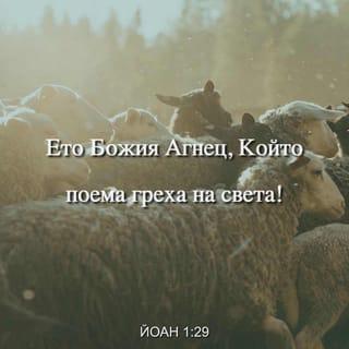 Йоан 1:29 BG1940
