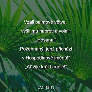 Jan 12:12-16 - Nazítří onen veliký zástup lidí, kteří přišli na svátky, uslyšel, že Ježíš přichází do Jeruzaléma. Vzali palmové větve, vyšli mu naproti a volali:
„Hosana!“
„Požehnaný, jenž přichází v Hospodinově jménu!“
„Ať žije král Izraele!“
Ježíš nalezl oslátko a vsedl na ně, jak je psáno:
„Neboj se, Dcero sionská!
Hle, tvůj král přichází
sedící na oslátku.“
Jeho učedníci tomu nejdříve nerozuměli, ale když byl Ježíš oslaven, tehdy si vzpomněli, že to o něm bylo psáno a že se to na něm vyplnilo.