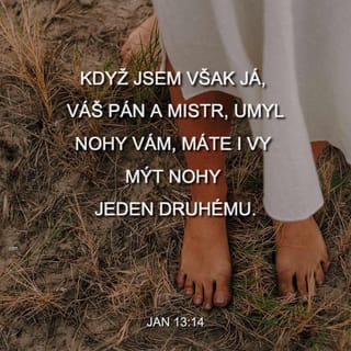 Jan 13:13-14 - Jestliže jsem vám umyl nohy já, váš Pán a Mistr, i vy si máte navzájem sloužit v pokorné lásce.