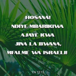 Yn 12:13 - wakatwaa matawi ya mitende, wakatoka nje kwenda kumlaki, wakapiga makelele, Hosana! Ndiye mbarikiwa ajaye kwa jina la Bwana, Mfalme wa Israeli!