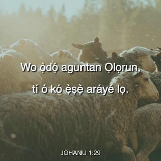 JOHANU 1:29 - Ní ọjọ́ keji, Johanu rí Jesu tí ó ń bọ̀ wá sọ́dọ̀ rẹ̀, ó ní, “Wo ọ̀dọ́ aguntan Ọlọrun, tí ó kó ẹ̀ṣẹ̀ aráyé lọ.