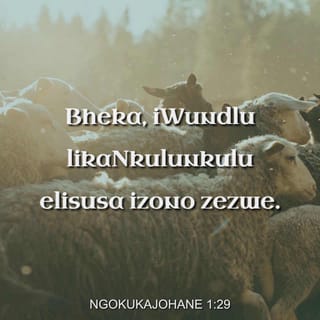 NgokukaJohane 1:29 - Ngangomuso wabona uJesu eza kuye, wathi: “Bheka, iWundlu likaNkulunkulu elisusa izono zezwe.