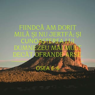 Osea 6:6 VDC