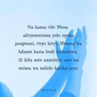 Yohane 3:14 - “Kama vile Mose alivyomwinua juu nyoka wa shaba kule jangwani, naye Mwana wa Mtu atainuliwa juu vivyo hivyo