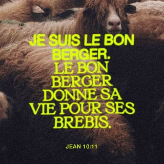 Jean 10:11 - Je suis le bon berger : le bon berger met sa vie pour ses brebis.