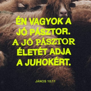 János 10:11 - „Én vagyok a jó pásztor. A jó pásztor életét adja a juhokért.