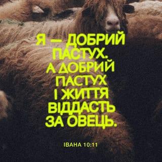 Вiд Iвана 10:11 - Я Пастир Добрий! Пастир добрий кладе життя власне за вівці.