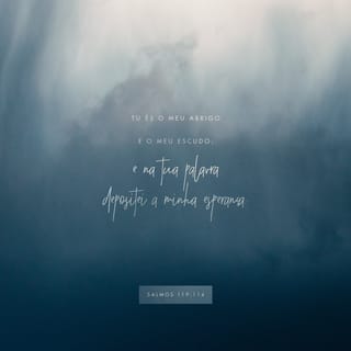 Salmos 119:114 - Tu és o meu abrigo e o meu escudo;
e na tua palavra depositei a minha esperança.