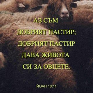Евангелието според Йоан 10:11 - Аз съм добрият пастир. Добрият пастир живота си дава за овцете.