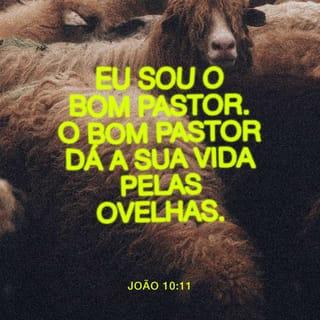 João 10:11 - Eu sou o bom pastor. O bom pastor dá a vida pelas ovelhas.